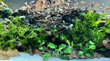 Le commencement, la suite