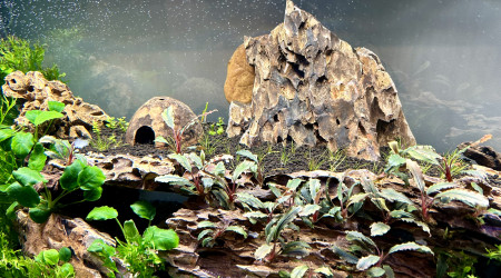 Le commencement, la suite