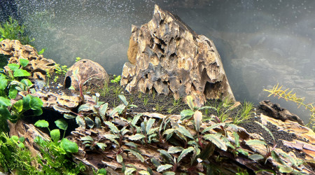 Le commencement, suite 2