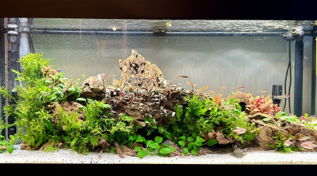 Le commencement, suite 2