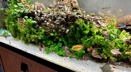 Le commencement, suite 2