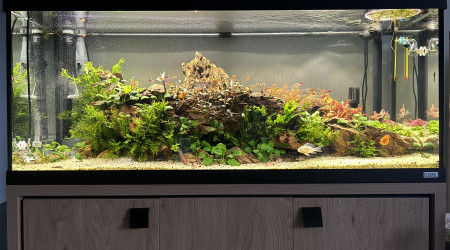 Le commencement, suite 3