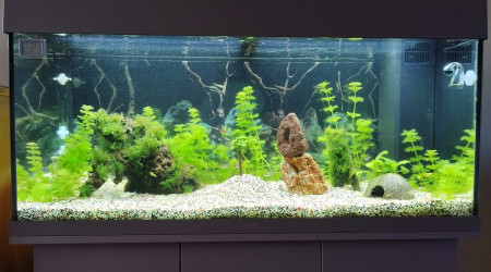 aquarium Juwel Rio 180 LED