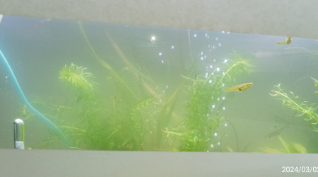 différence flagrantte!!