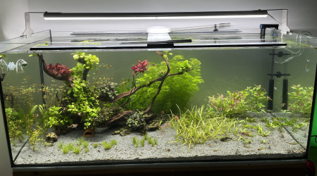 aquarium 300L