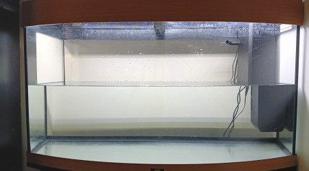 Remplissage - mise en eau 2 semaines