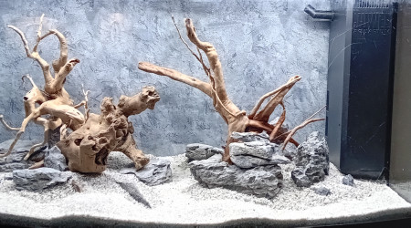 Différents tests a vide