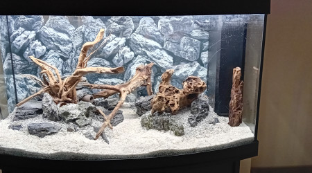 Je pars sur celle-ci, les plantes arrivent