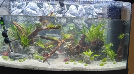 Mise en place 2e chauffage le temps de mettre en route