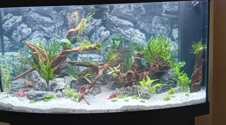 18h - on va pouvoir mettre en route