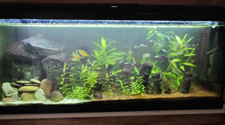 aquarium 120L