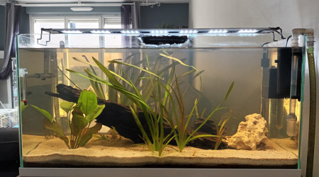 aquarium Int80