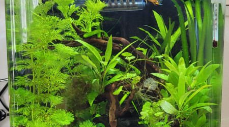 Petit entretien hebdomadaire