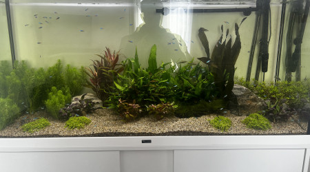 aquarium Aquarium 300 Litres