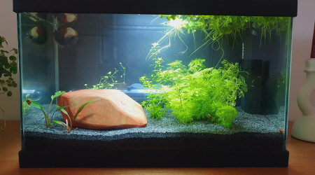 Taille et ajout d'un fond !