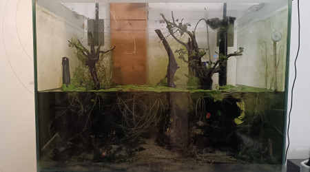 Drame du dimanche soir !