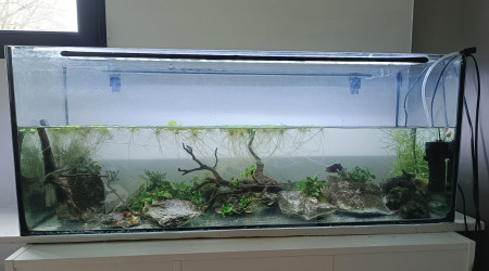 Drame du dimanche soir !