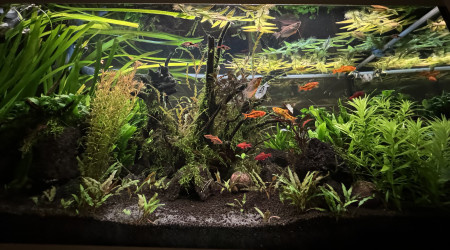 Extinction des lumières en toute douceur.