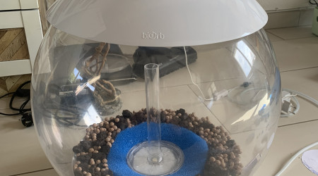 Avant le sol technique & la mise en eau