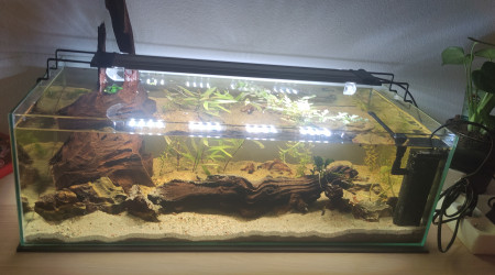 aquarium 30 litres en longueur