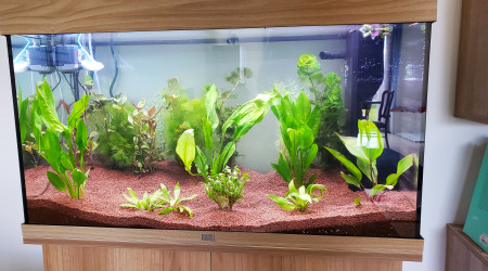 24 h après mise en eau