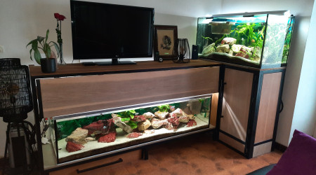 aquarium Ensemble du 600L et 360 L malawi