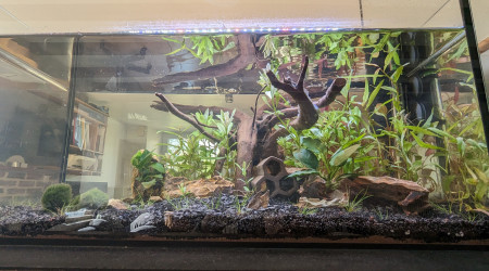 Deux semaines après la mise en eau.