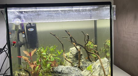 aquarium 45l