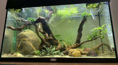 Traitement omnipur terminé