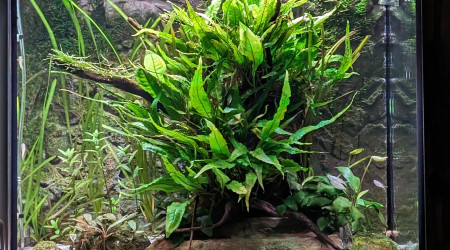 Photo du 02 avril 2024, après 13 mois