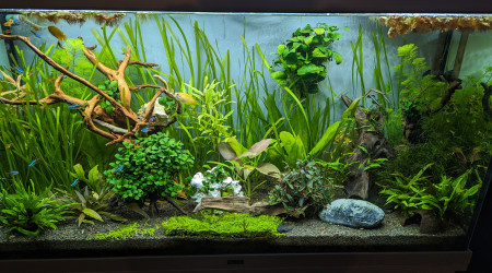 aquarium 180 L