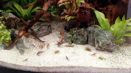 8 Cory ca va commencer a bouger