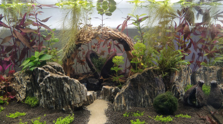 3.0 je pense le chemin tiendra pas je pense