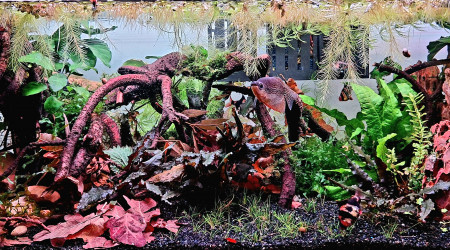 Ajout de quelques bricoles