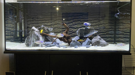 Bac refait en mars 2024