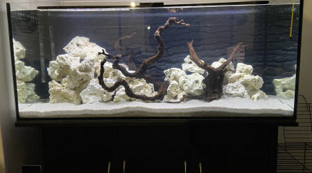 Création du bac en Mars 2023