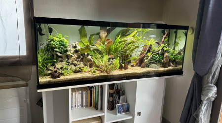 aquarium Aquarium 330L