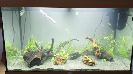 aquarium 125 litres