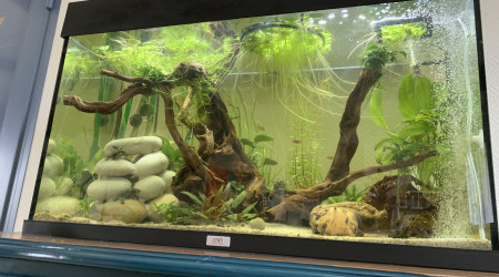 Le moment le moins plus stressant pour mon aquarium ?