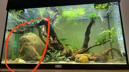 Le moment le moins plus stressant pour mon aquarium ?