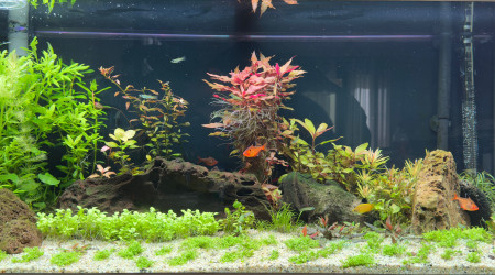 aquarium Rio180