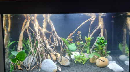 aquarium 125L