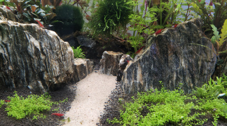 Ça y est l armée rouge a pu emménager! Les yeux bleus aussi mais comme d hab pas photogeniques