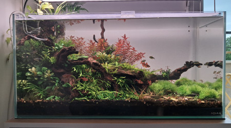 aquarium 110 litres