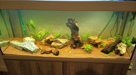 Premier changement d'eau