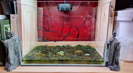 Peut-on appeler ça une mise en eau ?