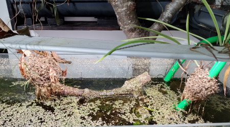 Constat sur la surface du bac