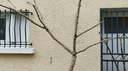 Récupération et système D