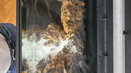 Hardscape Dark Start haut