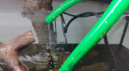L'écoulement de l'eau du mur végétal vers le bac